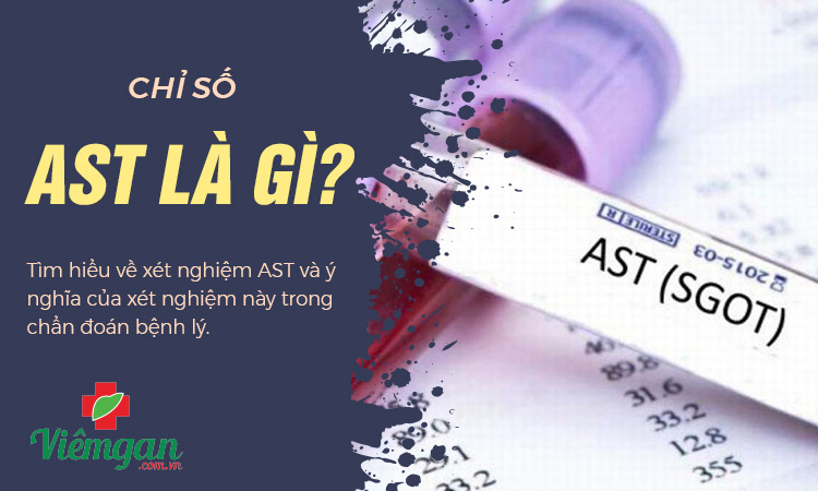 Chỉ số ast trong ngày tiết là gì Chỉ số ast trong tiết là gì