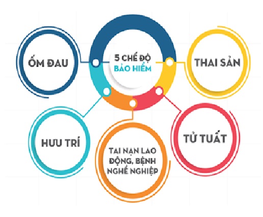 Bảo hiểm làng mạc hội là gì Bảo hiểm làng hội là gì