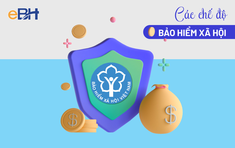 Bảo hiểm thôn hội là gì Bảo hiểm làng mạc hội là gì