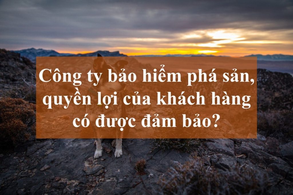 Quyền lợi của người tham gia khi công ty bảo hiểm phá sản, những điều cần biết
