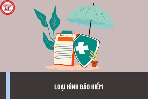 Có những loại hình bảo hiểm nào Có những mô hình bảo hiểm nào
