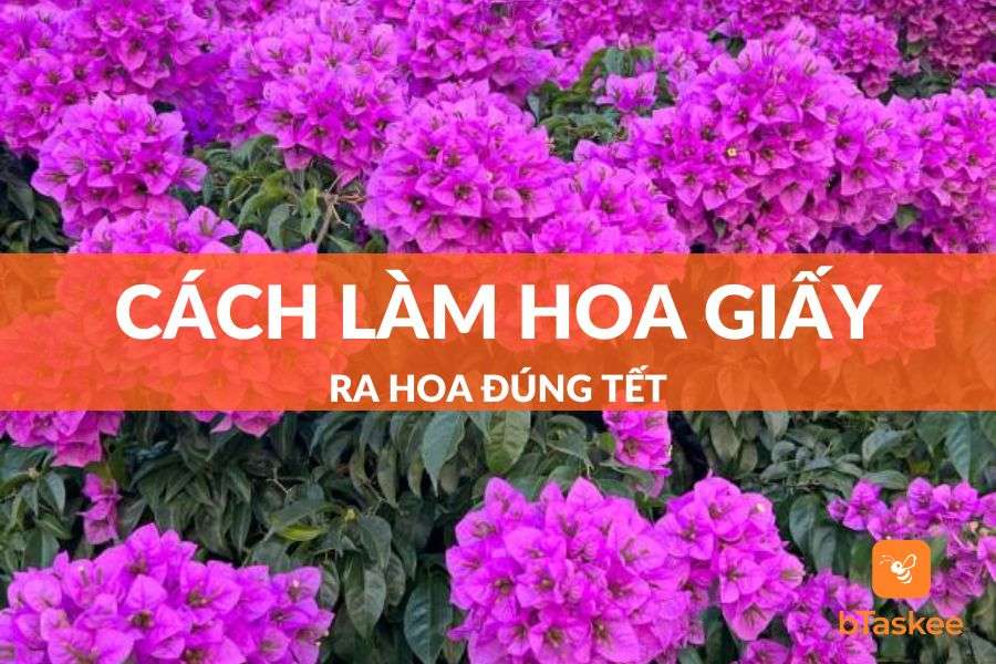 Hướng dẫn giải pháp làm hoa giấy ra hoa Đúng đầu năm mới Đơn giản Hướng dẫn biện pháp làm hoa giấy ra hoa Đúng tết Đơn giản
