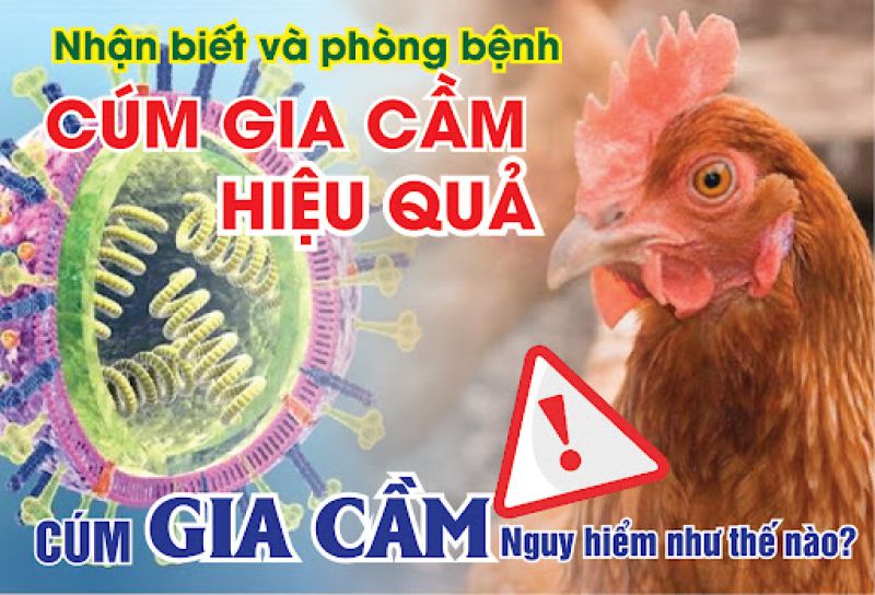 Nhận biết cảm cúm gia thế và giải pháp phòng bệnh công dụng nhất Nhận biết cảm cúm gia thế và biện pháp phòng bệnh tác dụng nhất
