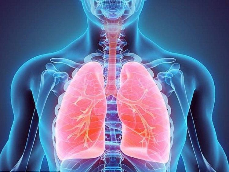 Điều trị viêm phế quản phổi ở fan lớn Điều trị viêm phế quản phổi ở người lớn