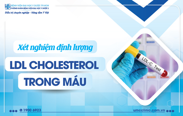 Xét nghiệm định lượng ldl cholesterol vào máu Xét nghiệm định lượng ldl cholesterol trong máu