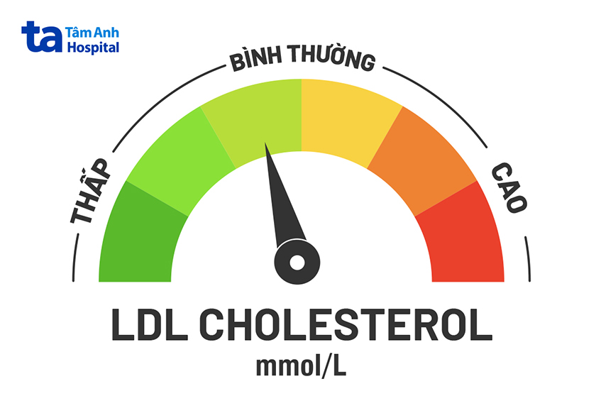 Ldl cholesterol là gì Ldl cholesterol là gì