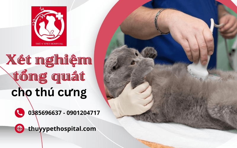 Giới thiệu showroom xét nghiệm tổng thể cho thú nuôi tại nhà Giới thiệu địa chỉ cửa hàng xét nghiệm tổng quát cho thú cưng tại nhà