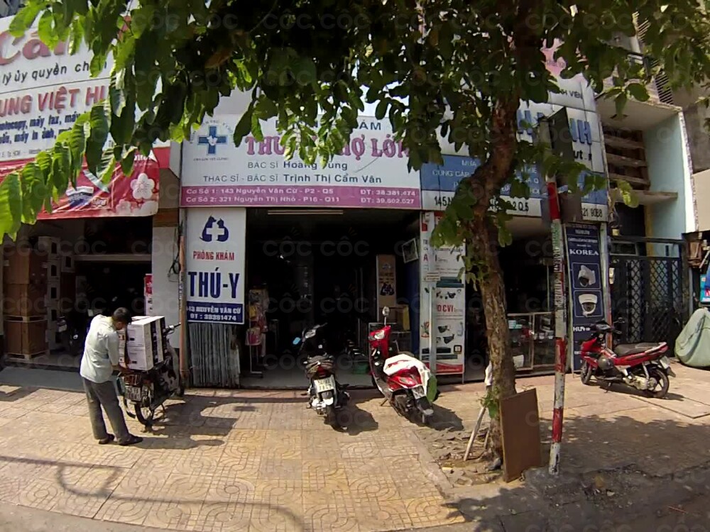 Phòng thăm khám thú y chợ lớn Phòng khám thú y chợ lớn