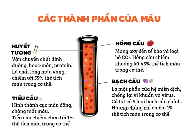 Xét nghiệm máu bao gồm mấy loại giúp phạt hiện dịch gì Xét nghiệm máu tất cả mấy nhiều loại giúp phát hiện căn bệnh gì