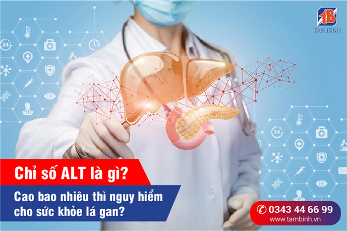 Chỉ số alt là gì Chỉ số alt là gì