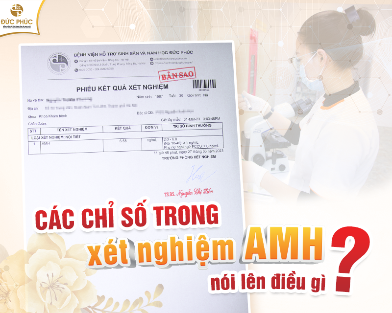 Chỉ số amh thể hiện điều gì Chỉ số amh thể hiện điều gì