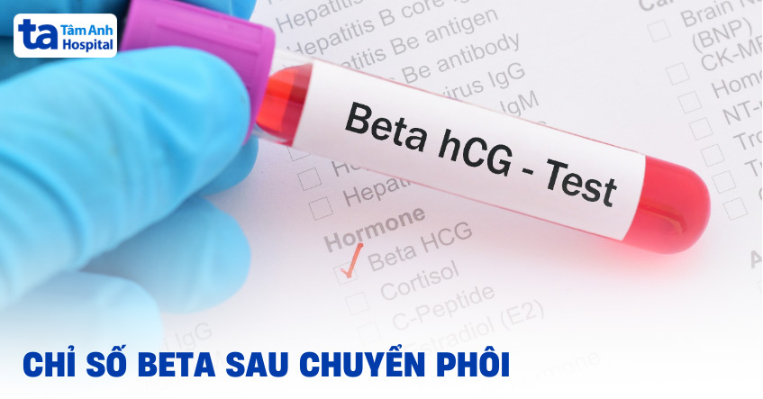 Bảng công dụng chỉ số beta sau gửi phôi tạo nên điều gì Bảng công dụng chỉ số beta sau đưa phôi nói lên điều gì