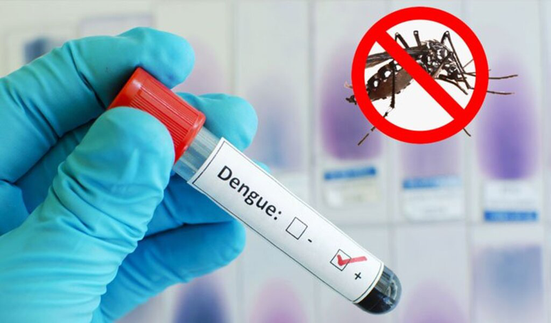 Xét nghiệm dengue ns chẩn đoán bệnh lý gì Xét nghiệm dengue ns chẩn đoán bệnh tật gì