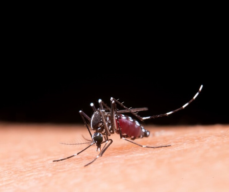 Xét nghiệm dengue ns ag có ưu điểm gì Xét nghiệm dengue ns ag có điểm mạnh gì