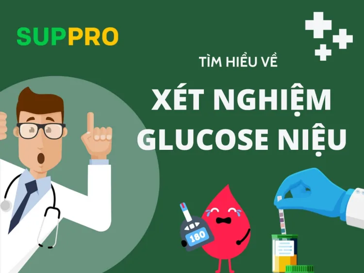 điều nên biết về xét nghiệm glucose niệu điều cần biết về xét nghiệm glucose niệu