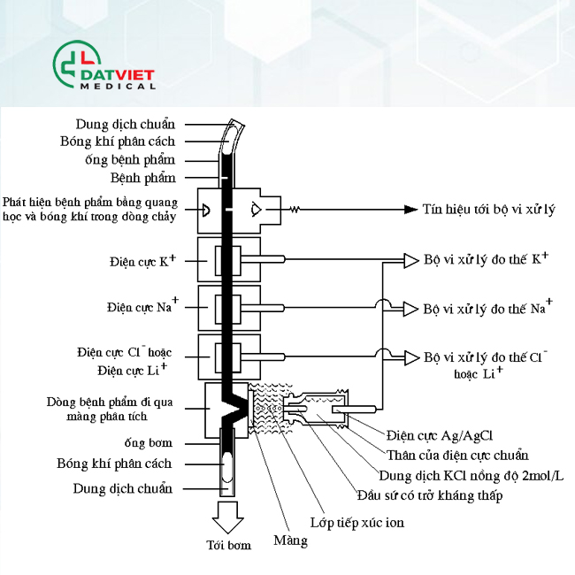 Điện rất và nguyên tắc xét nghiệm điện giải đồ Điện cực và nguyên lý xét nghiệm điện giải đồ