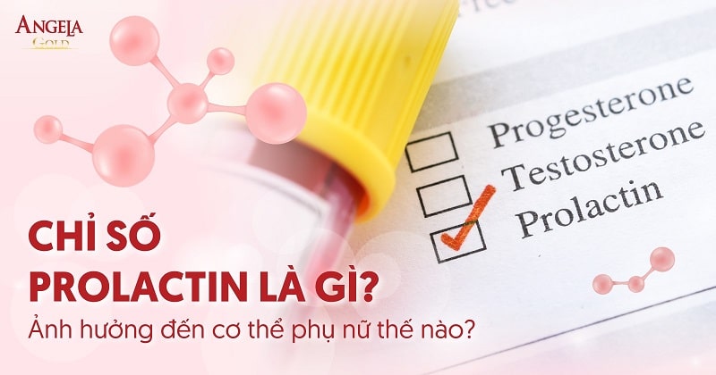 Chỉ số prolactin là gì tác động trực tiếp đến khung hình phụ phái nữ như thế Chỉ số prolactin là gì tác động trực tiếp đến khung người phụ nữ như thế