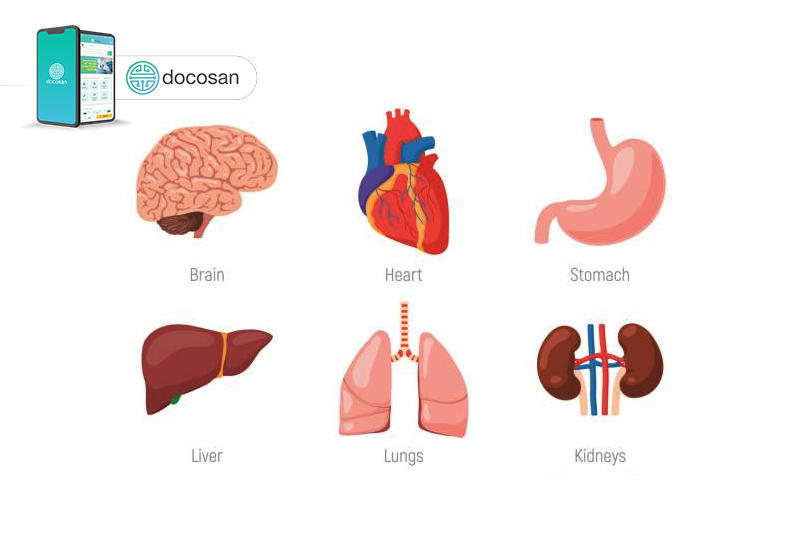 Tổng quan về cách thức xét nghiệm sgot Tổng quan liêu về phương thức xét nghiệm sgot