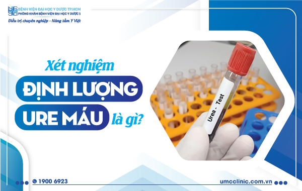 Xét nghiệm định lượng ure tiết là gì Xét nghiệm định lượng ure ngày tiết là gì
